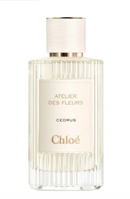 Chloe Atelier des Fleurs - Cedrus – Centered Scents