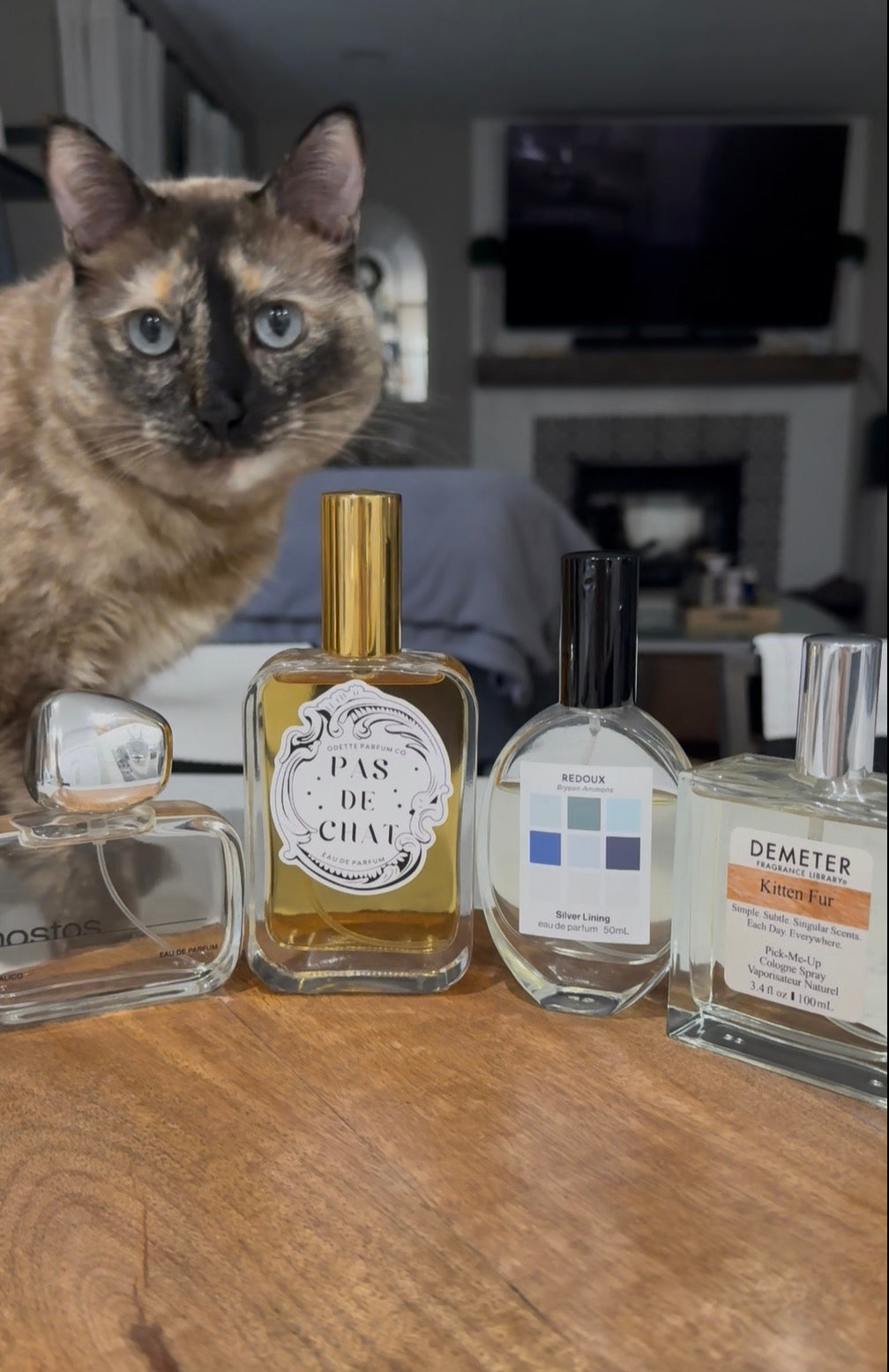 Curated Fragrance Bundle