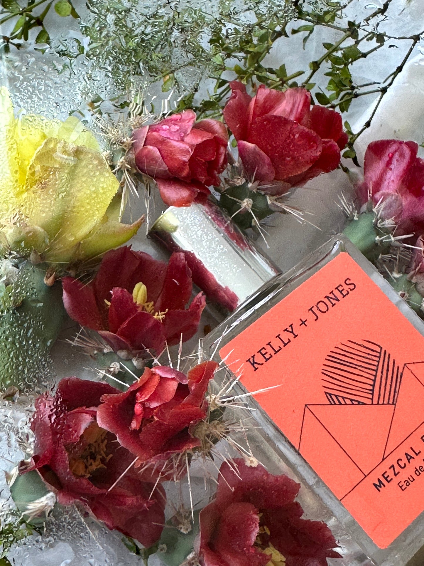 Kelly+Jones - MEZCAL ROJA (Full bottle)
