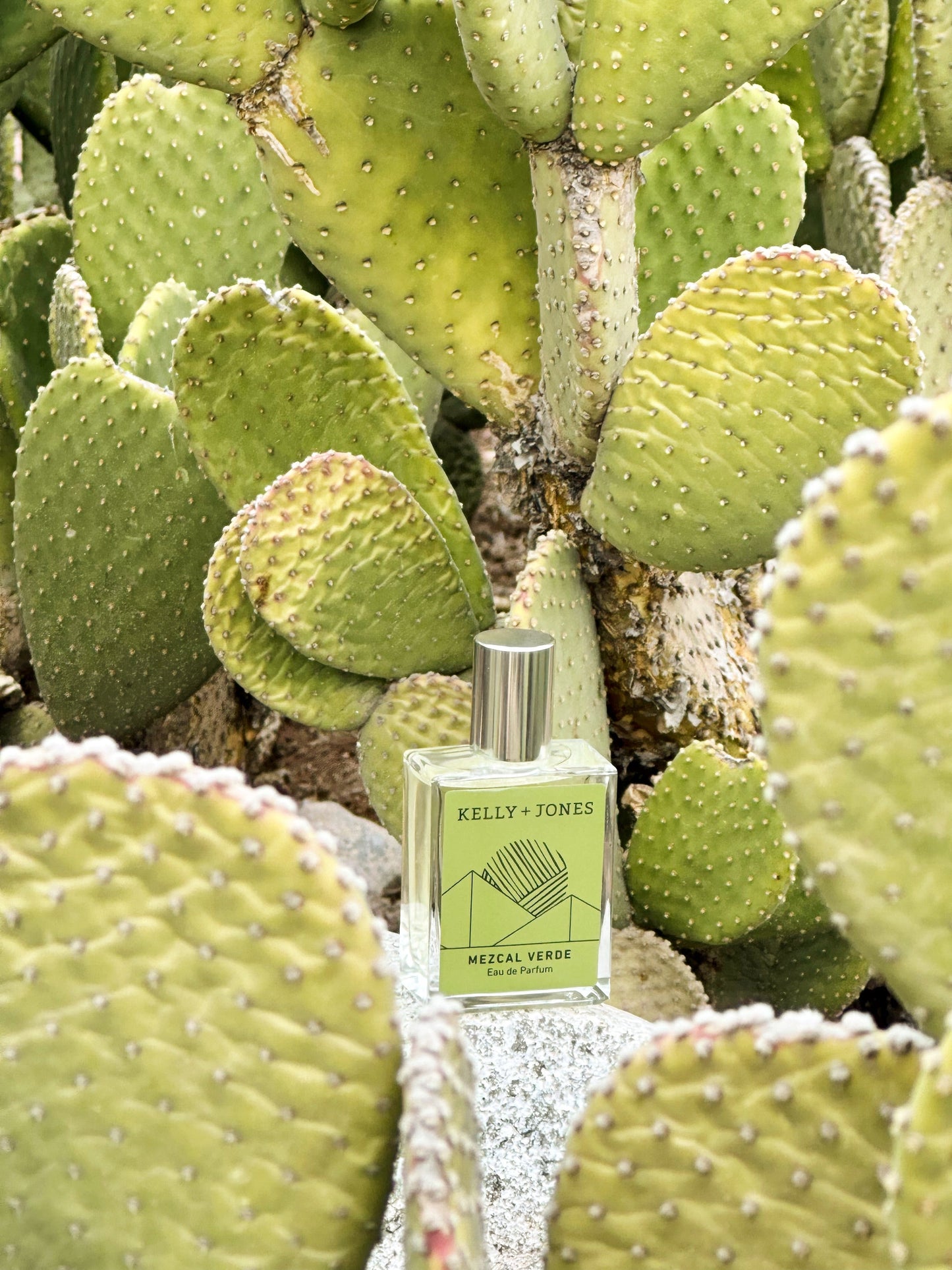 Kelly+Jones - MEZCAL VERDE (Full bottle)