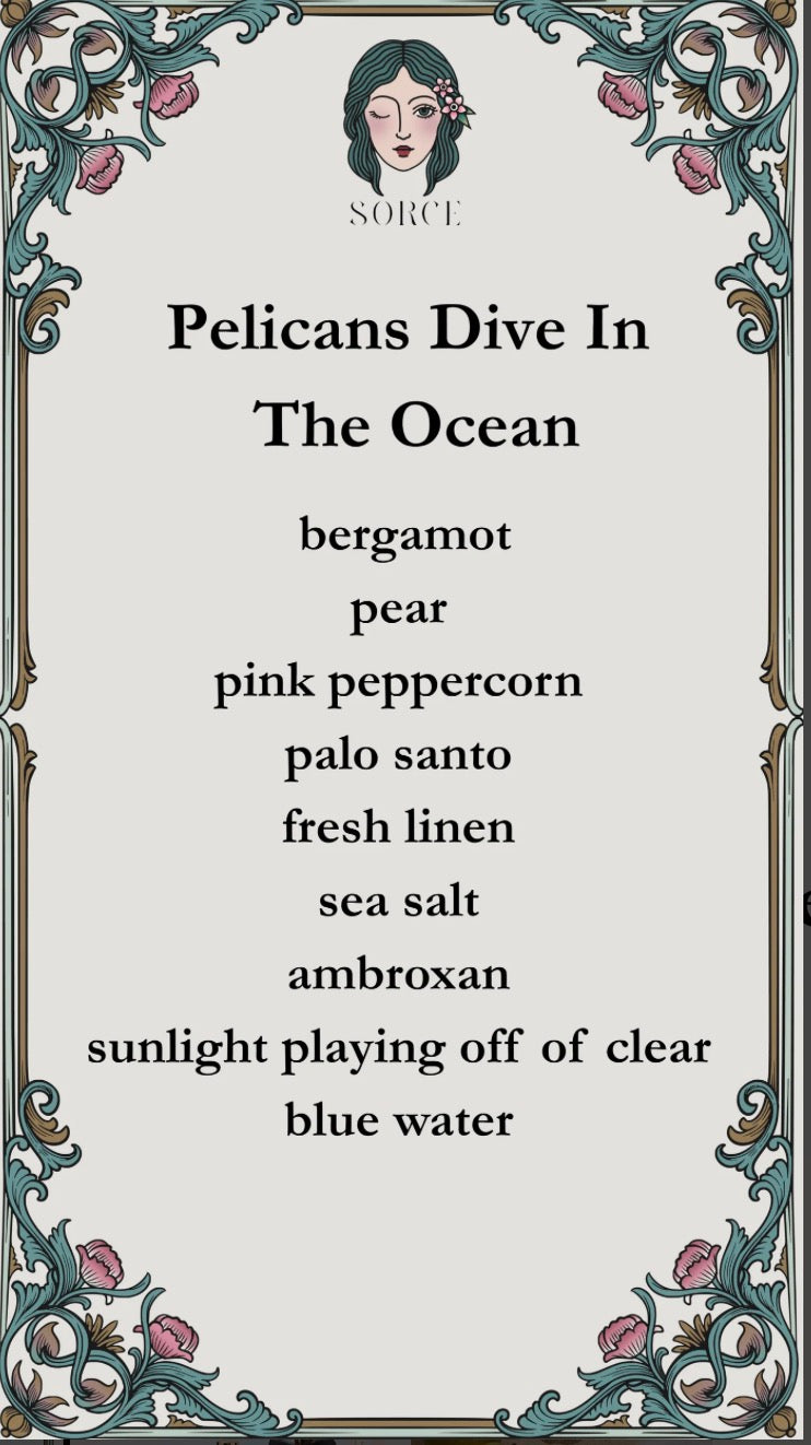 Sorce - Pelicans Dive in the Ocean